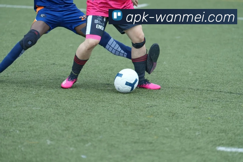 WMSports平台生态图